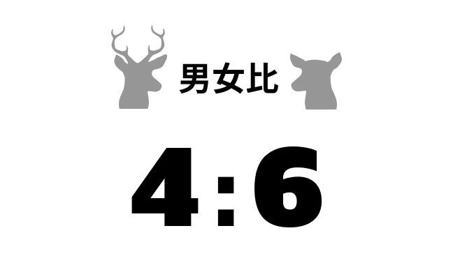 取り扱いIP数 200＋